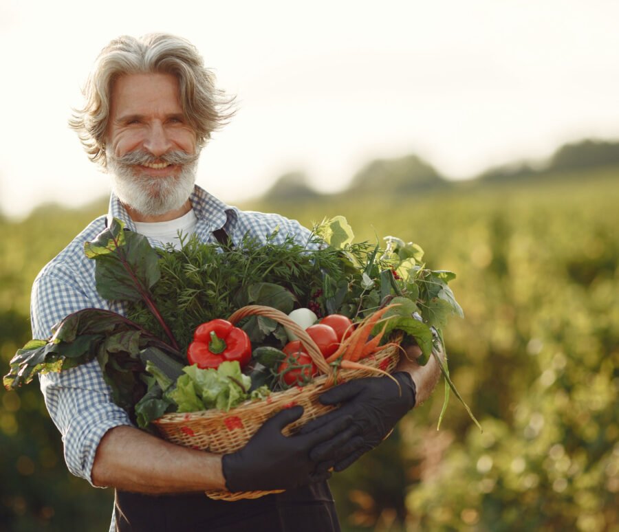 Senior with box vegetables garden background sunse